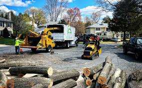 Best Tree Mulching  in Upper Brookville, NY